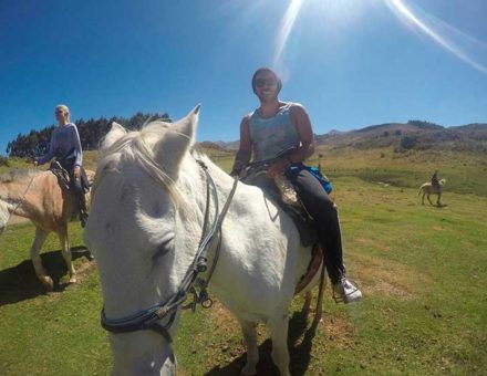Cabalgata en Sacsayhuaman 1/2 Dia